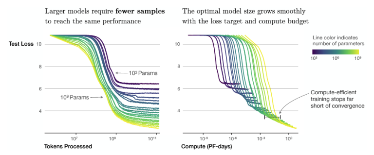 Two line charts of neural scaling laws: test loss falling as tokens processed increase for models of different sizes, and optimal model size growing with compute budget, showing compute-efficient training stopping short of full convergence