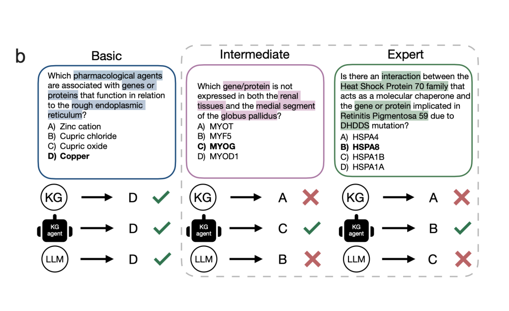 Diagram comparing a knowledge graph, a knowledge graph agent, and a standalone LLM answering basic, intermediate, and expert medical questions, with checkmarks showing the KG agent answers all three correctly while the LLM and KG alone each miss the harder questions